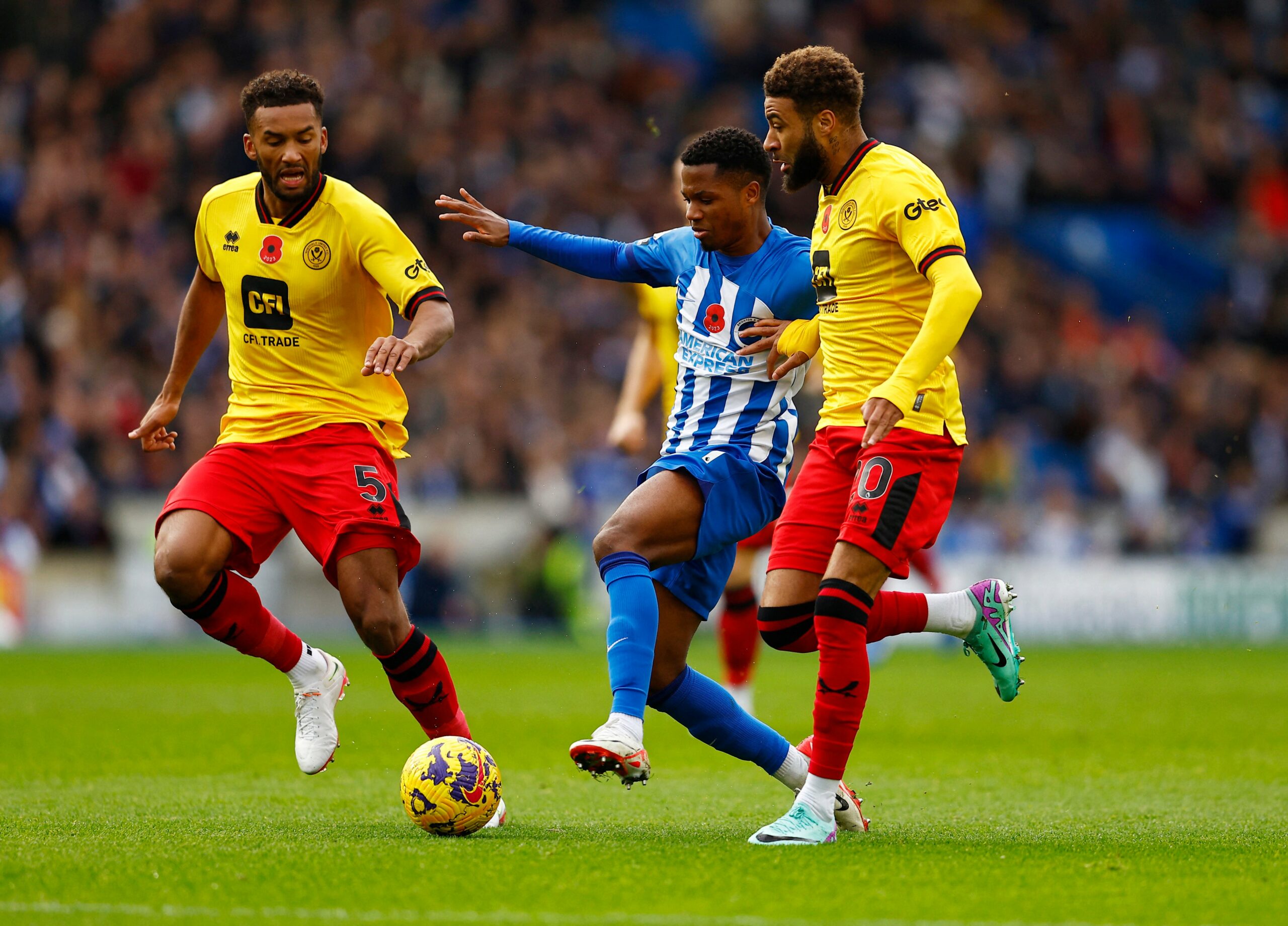 Brighton vs Sheffield United (21:00 – 12/11) | Xem lại trận đấu